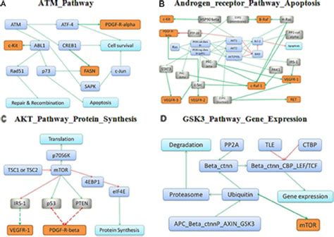Oxyprim: Drug Targets, Indications, Patents .